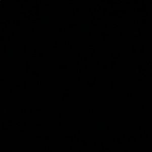 Meet your Posher, Melika